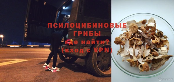 гашик Беломорск