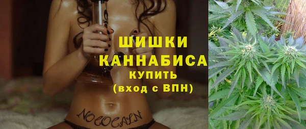 эйфоретик Белокуриха